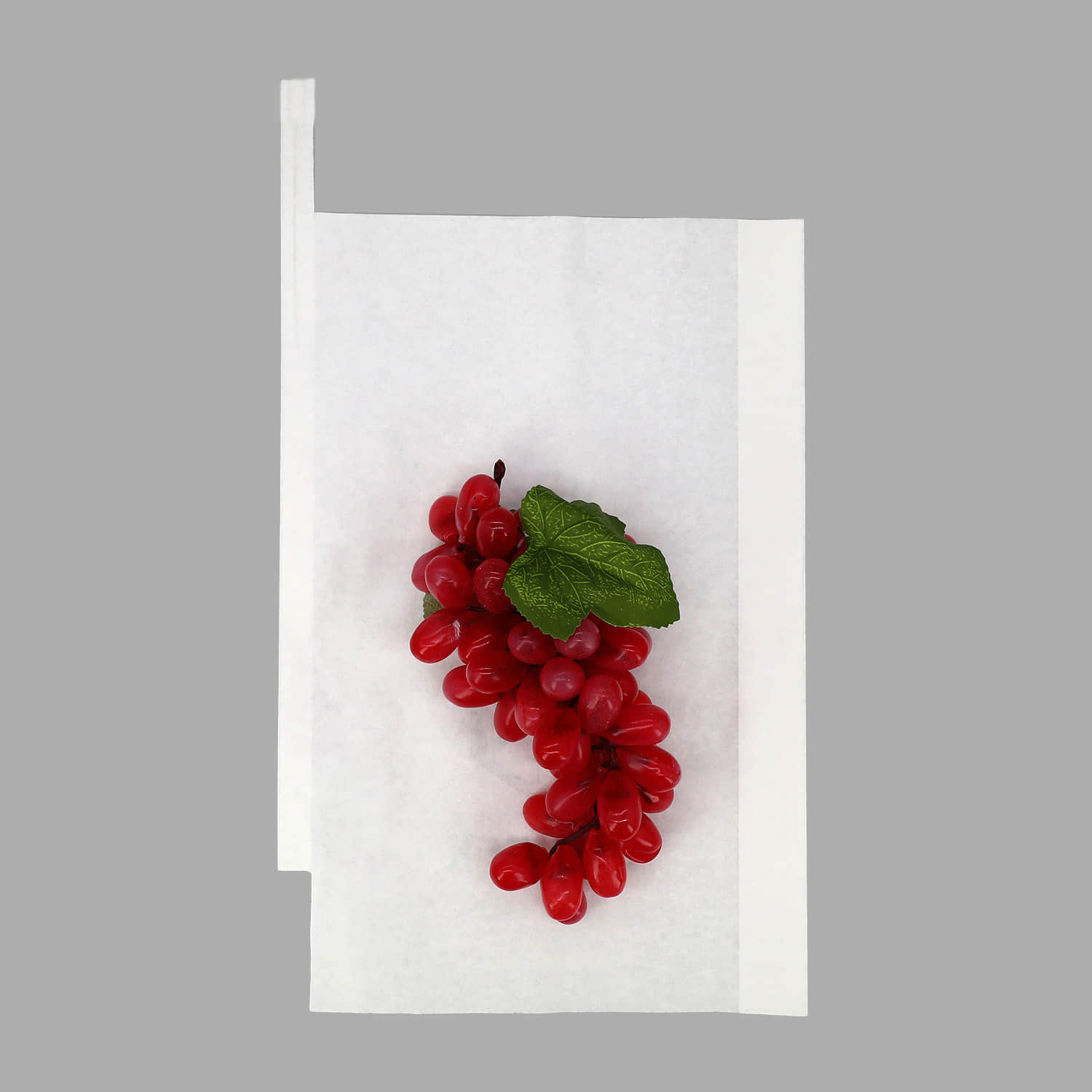 Máquina envasadora de bolsas para uvas: Cómo elegir el color adecuado